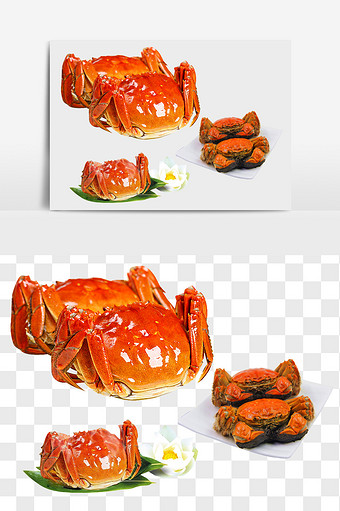 熟螃蟹美味大闸蟹元素图片
