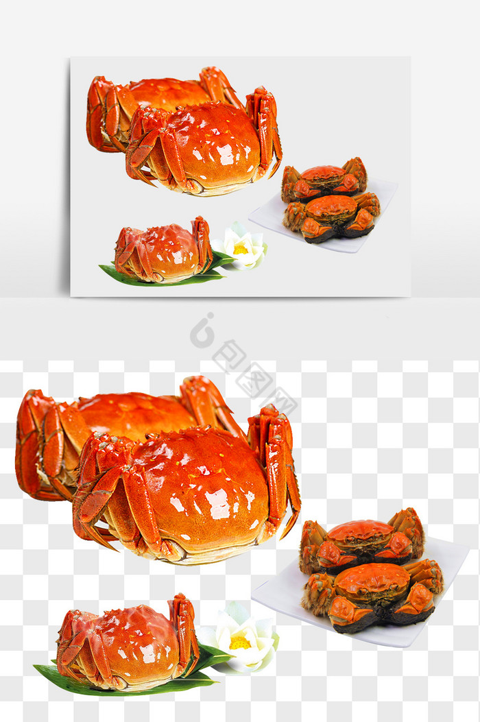 熟螃蟹美味大闸蟹图片