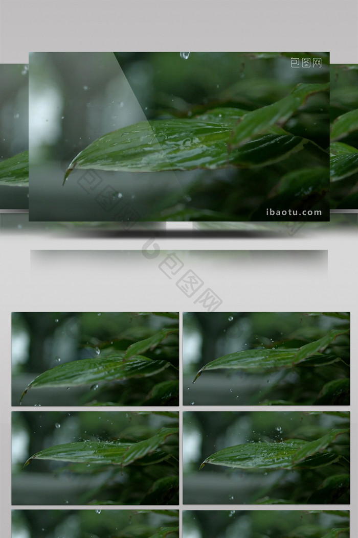 高速摄像机拍下水珠打落咋叶子上视频素材