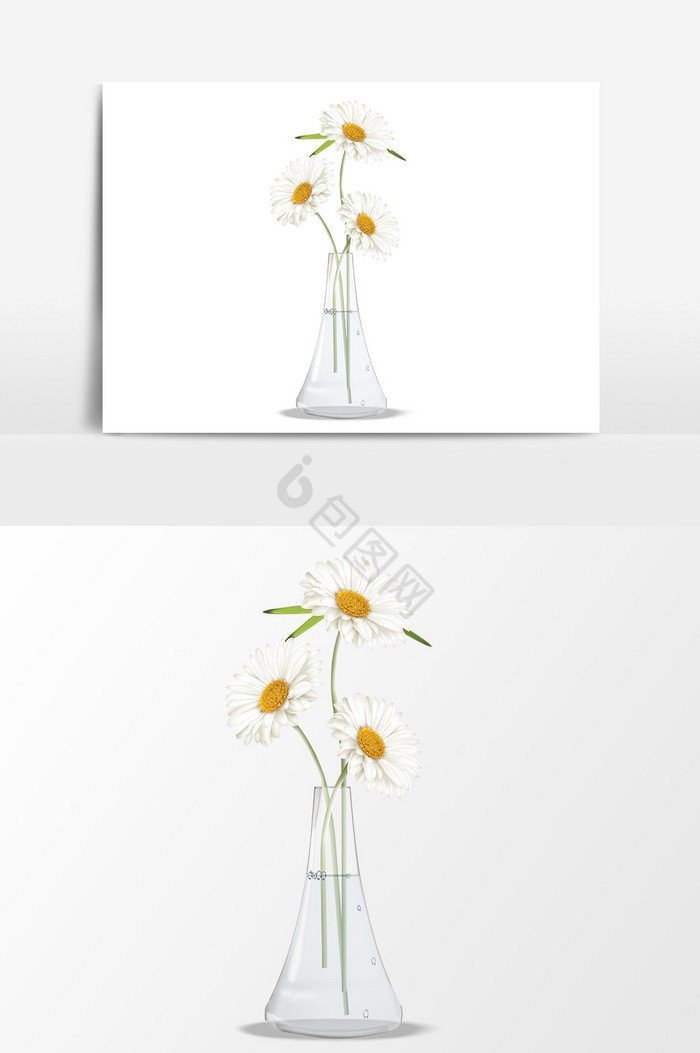 透明花瓶花朵图片