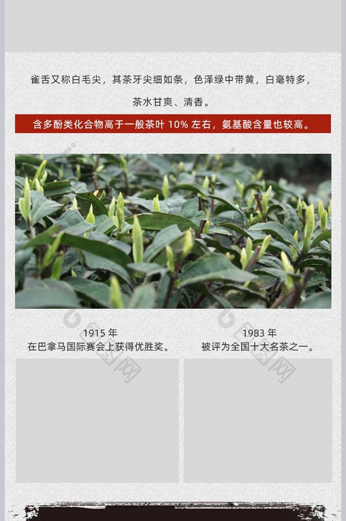 茶叶茶品详情页设计模板