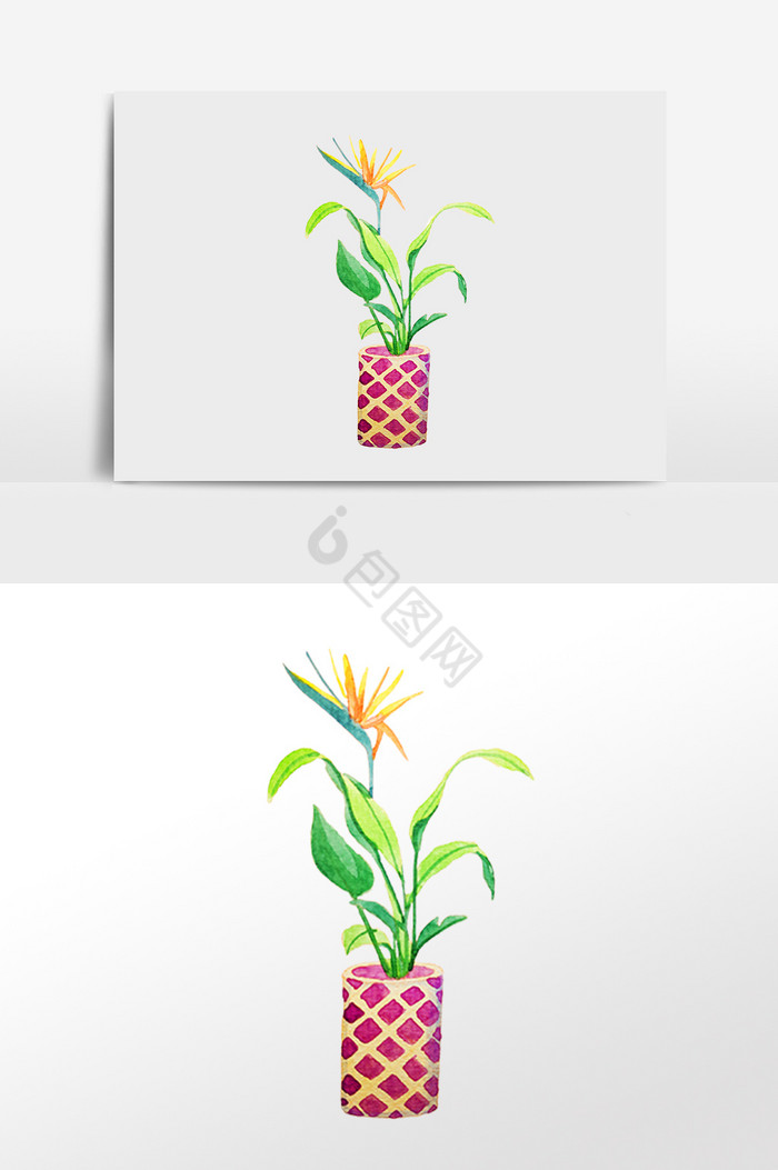彩绘格子花盆盆栽图片
