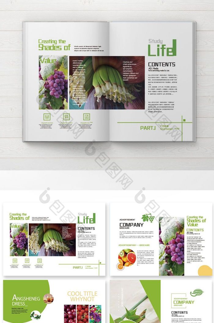 整套清新水果蔬菜画册