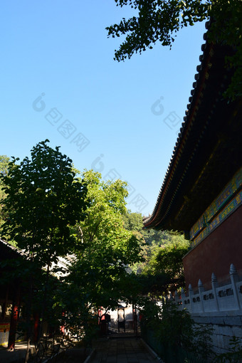 夏天寺庙中古代建筑和苍天古树