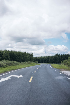 竖构图草原公路