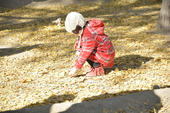 秋天城市公园草坪上捡树叶的女孩