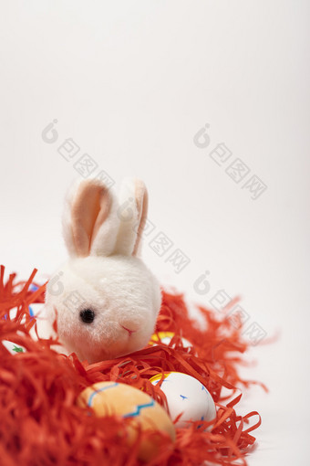 复活节兔子彩蛋白色背景