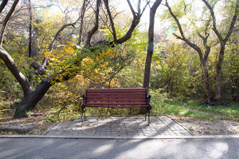 秋天城市公园的长椅