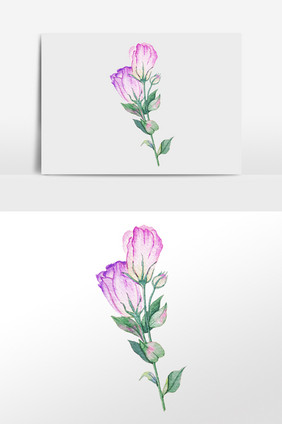 彩绘紫色玫瑰花素材