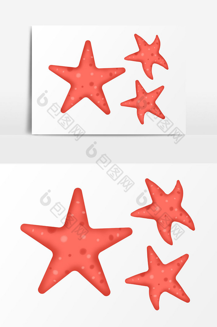 珊瑚橘海星装饰图片图片