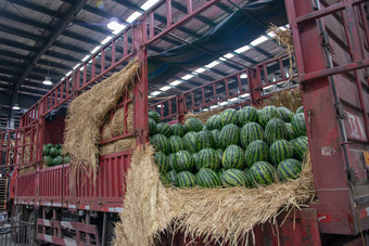 水果批发市场的西瓜