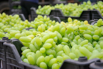 水果批发市场中的葡萄