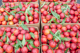 水果批发市场中的油桃