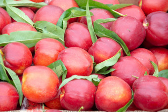 市场中的红色油桃