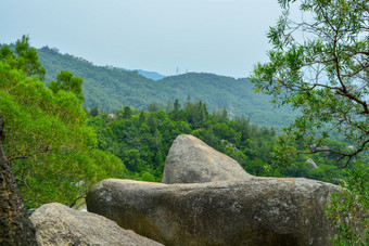 厦门山顶风光