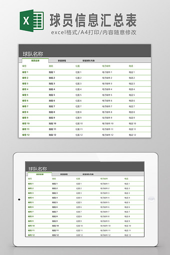 球员信息汇总表Excel模板图片