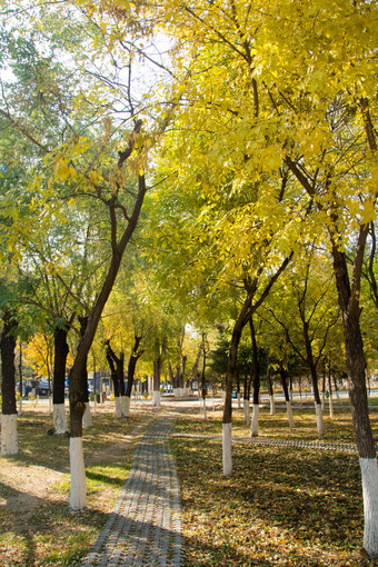 秋天城市公园风景