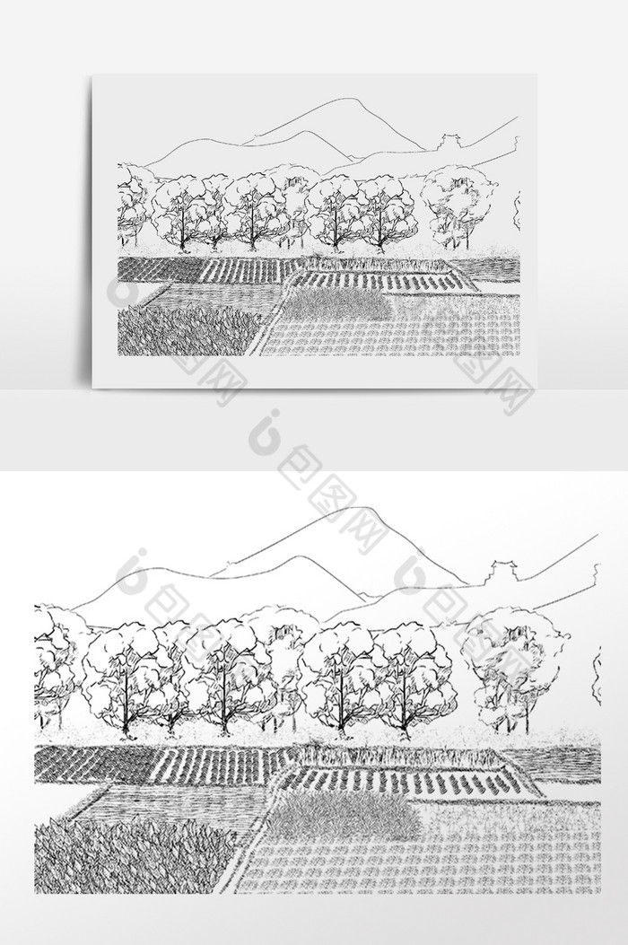 素描农田田地素材图片