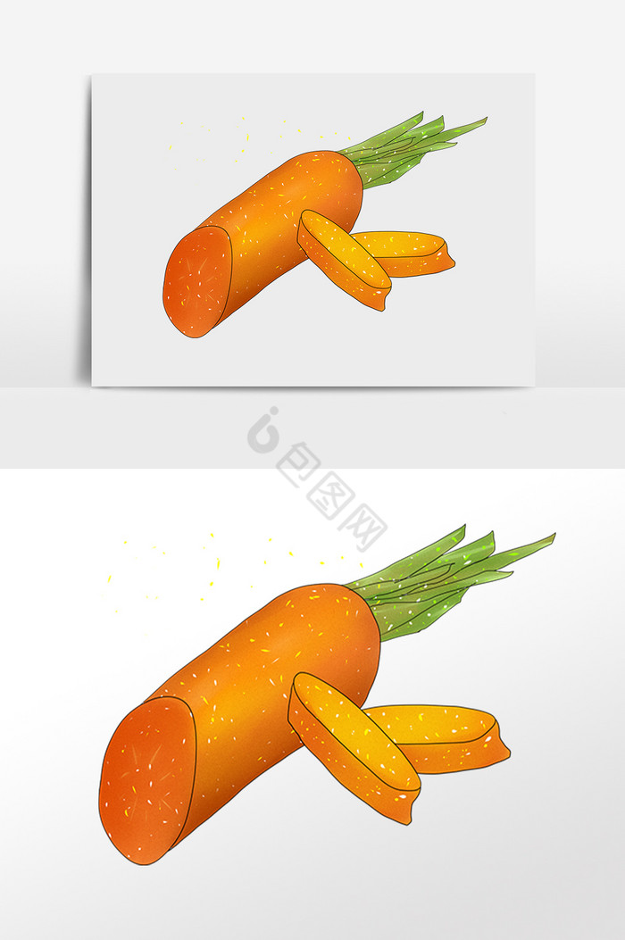 农业胡萝卜切片图片