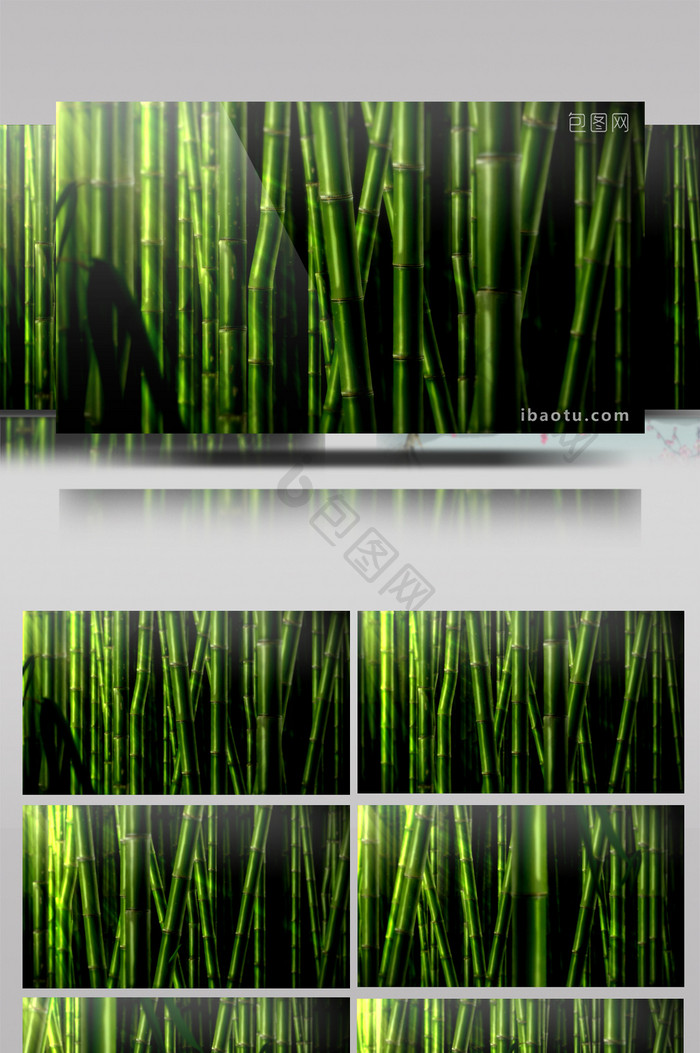 青葱的密集竹林循环视频素材LED背景视频