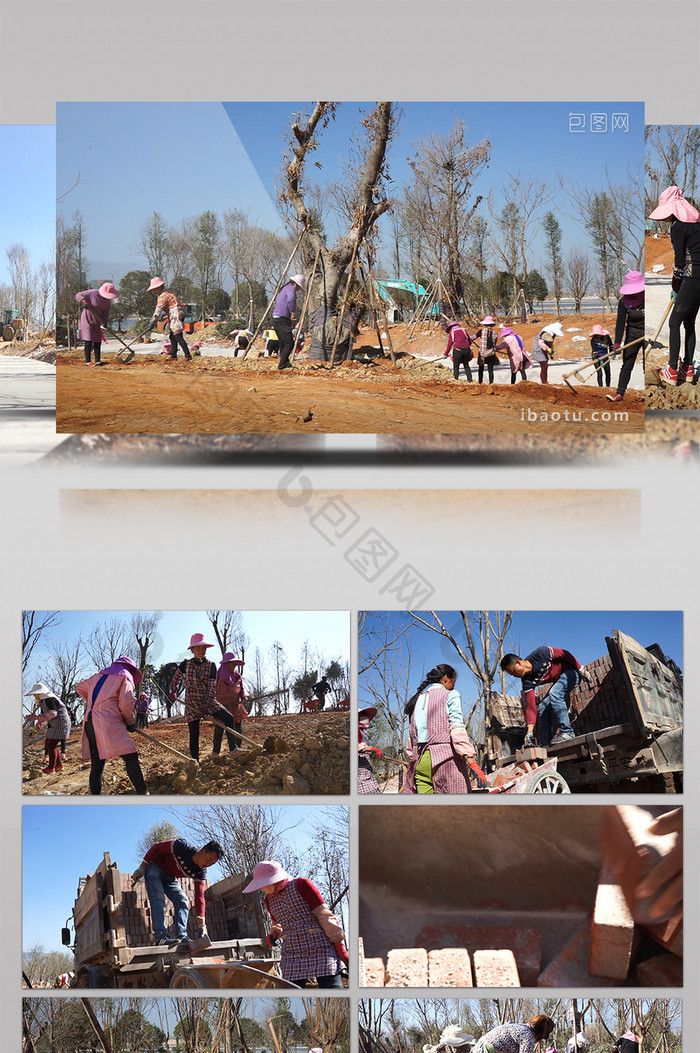 实拍百人种树场景高清视频素材