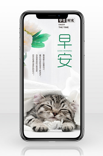可爱猫咪你好早安手机壁纸海报图片