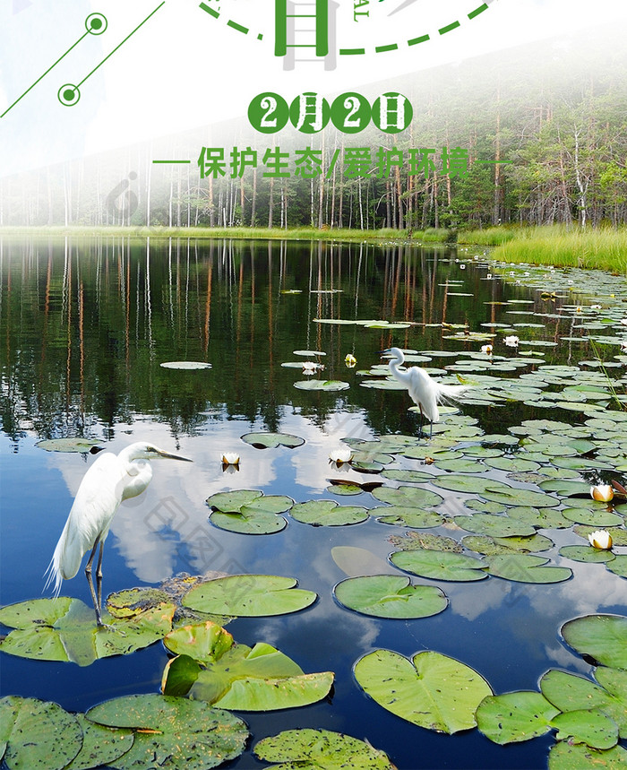 世界湿地日简约自然保护湿地手机配图