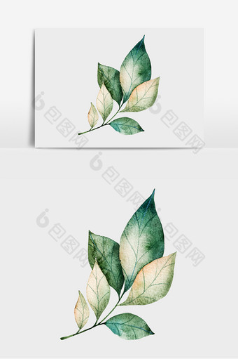 彩绘植物设计元素图片