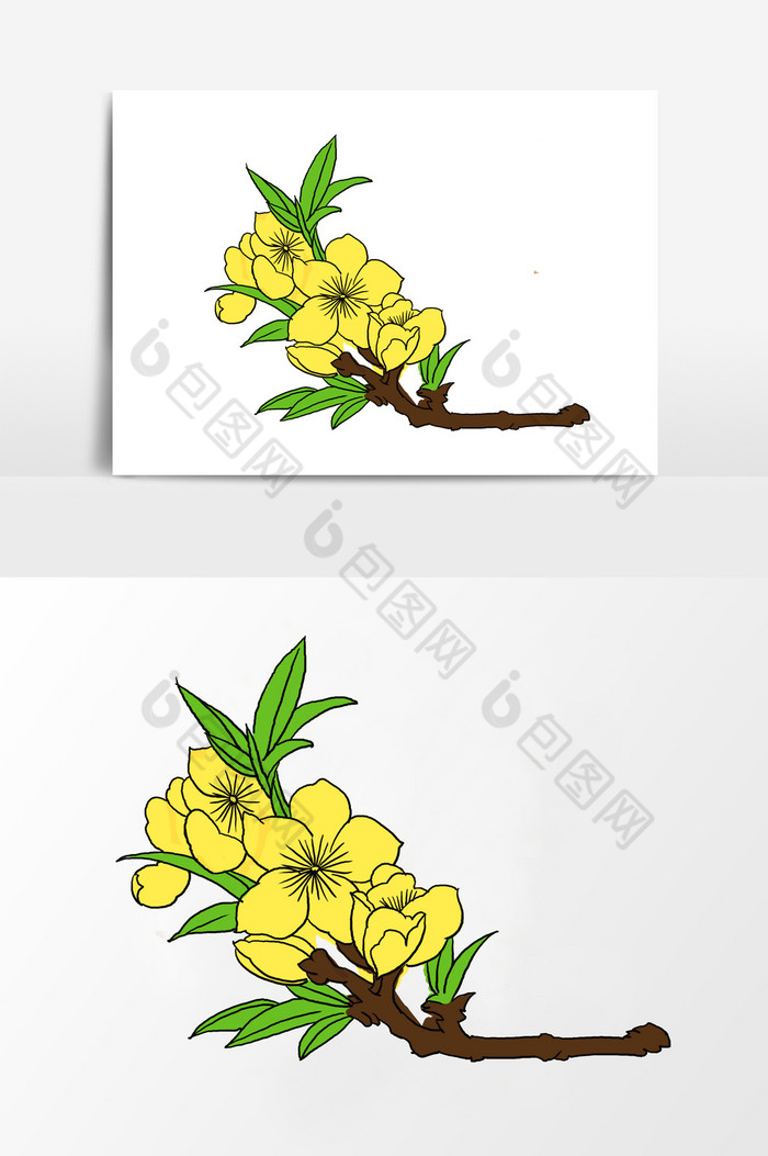 淡彩颜色迎春花图片