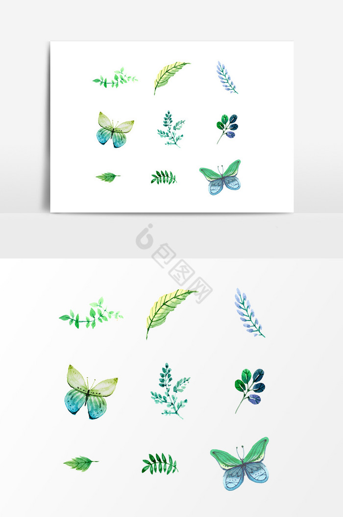 蝴蝶植物图片