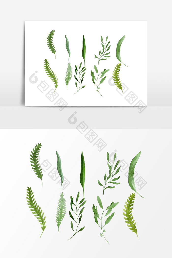 手绘绿色植物设计元素