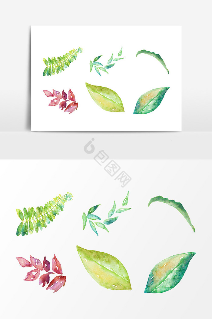 植物装饰图片