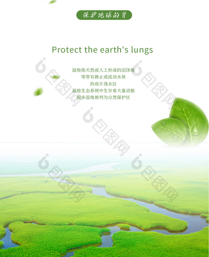 湿地日保护地球之肾