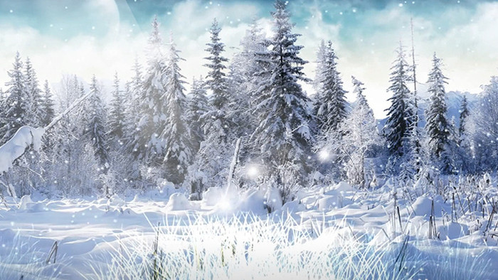 冬天白雪雪地树林LED背景视频