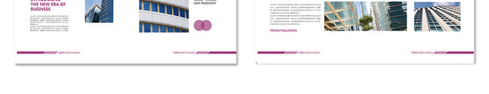 紫色大气企业宣传整套画册设计