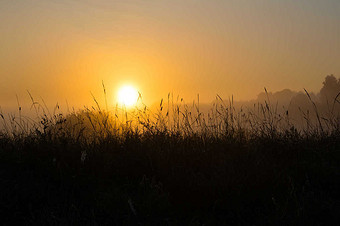 【抖音特效】图片_抖音特效素材下载