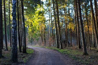 【抖音特效】图片_抖音特效素材下载