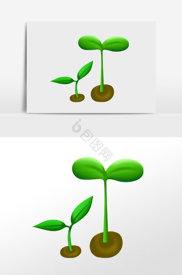 种子发芽植物生长插画图片