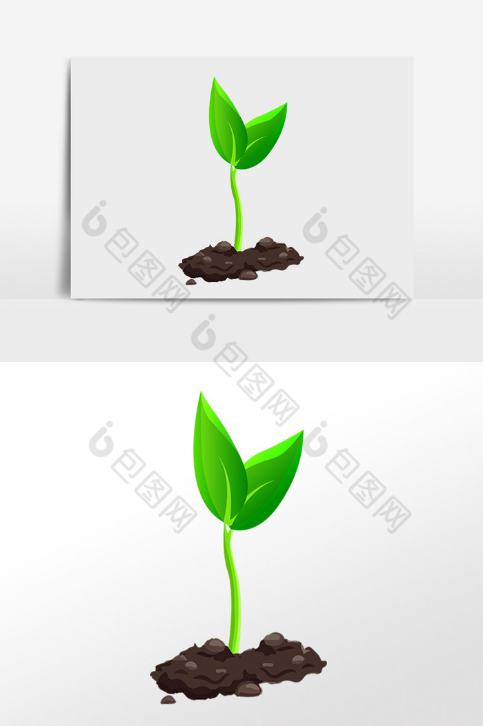 破土而出种子发芽插画图片图片