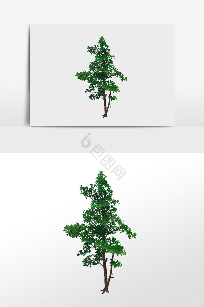 植物树插画图片