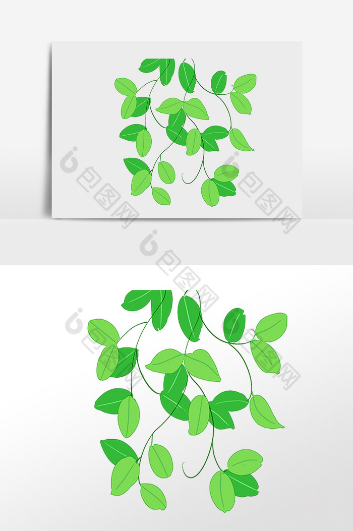 植物叶柳插画图片图片