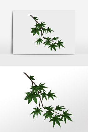 手绘绿色植物树枝插画