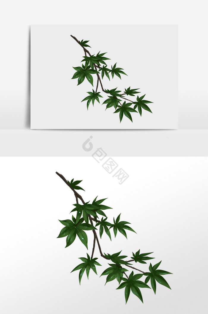 植物树枝插画图片