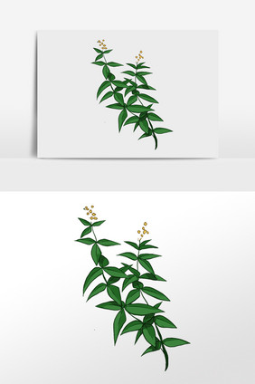 手绘绿色植物花草插画