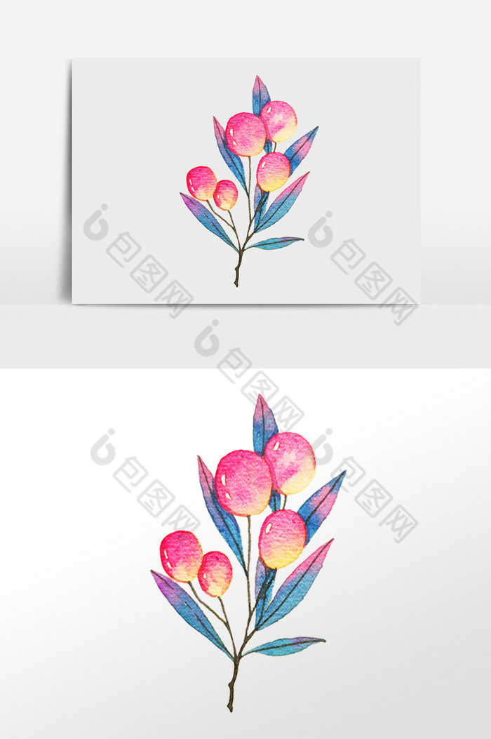 植物小花花朵插画图片图片