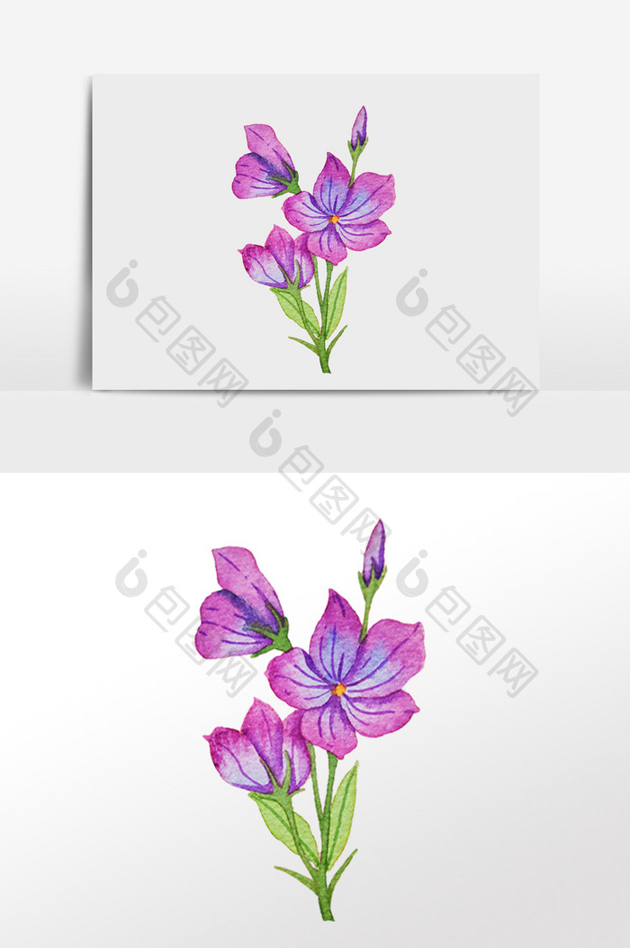 手绘植物紫色花开插画