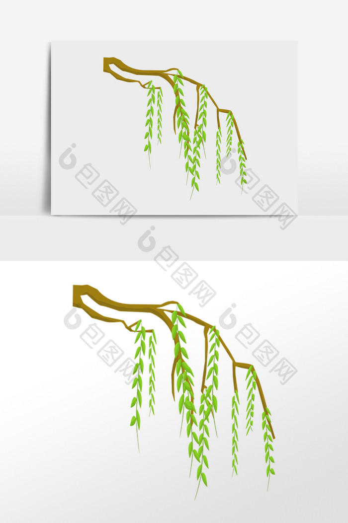 手绘春季植物柳树叶插画