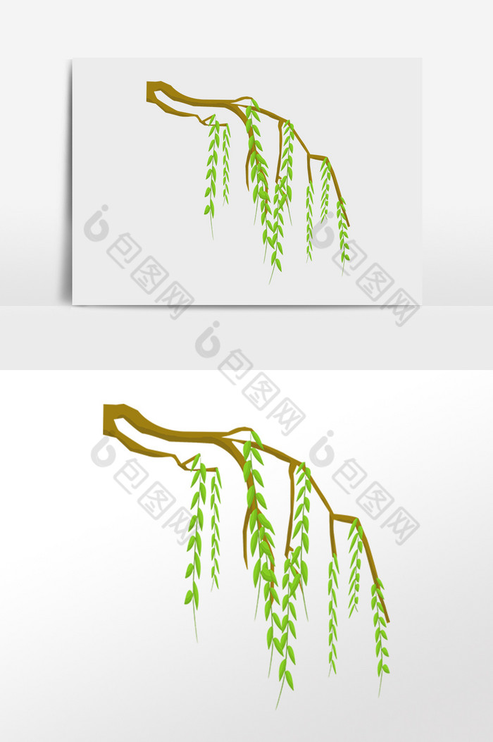 春季植物柳树叶插画图片图片