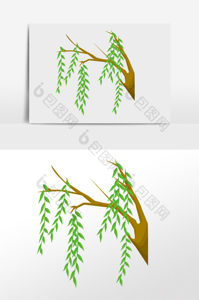 手绘春季植物柳树叶树木插画