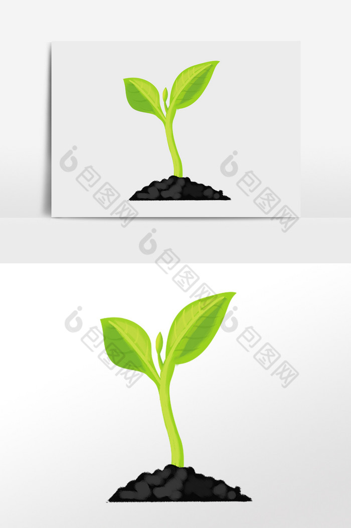 土壤发芽植物绿苗插画图片图片